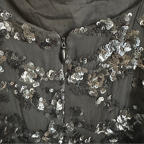 NWOT Rag and Bone Jolene sequins embroidered midi dress - Picture 11 of 14